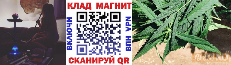  COCAIN Будённовск