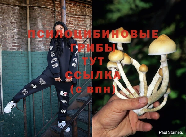 тгк Белоозёрский