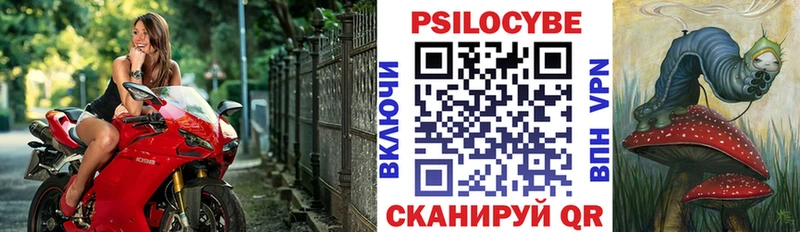 Галлюциногенные грибы Psilocybine cubensis  Будённовск 