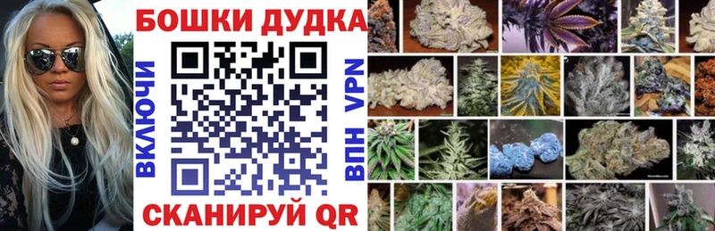 Конопля Bruce Banner  Будённовск 